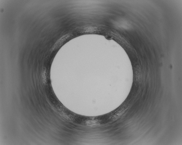 X0000068260216200605191811