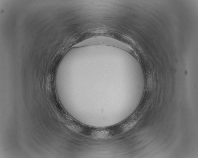 X0000068260217200605191811