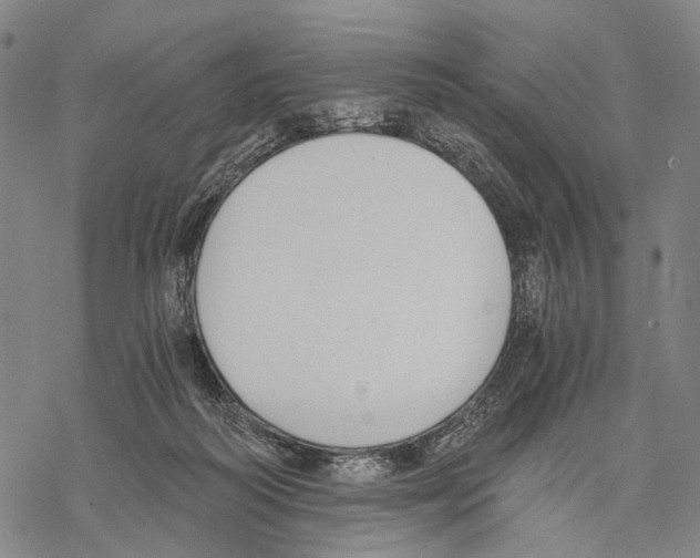 X0000068260218200605191811