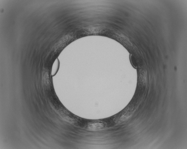 X0000068260220200605191811