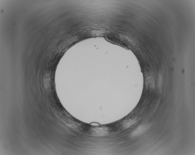 X0000068260221200605191811