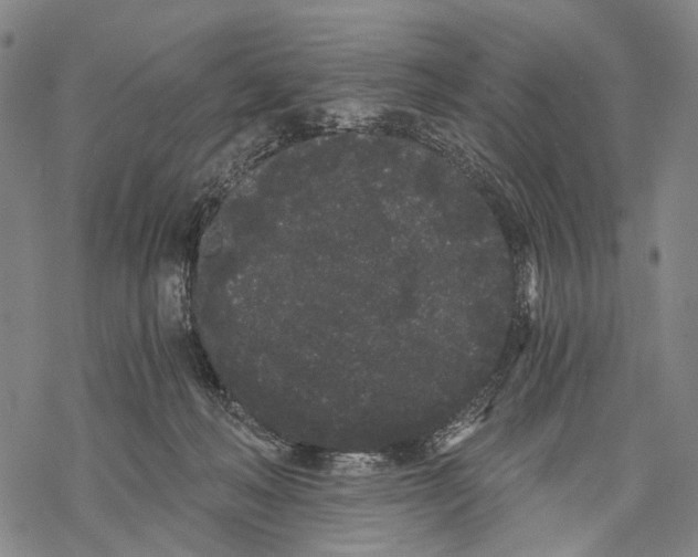 X0000068260222200605191811