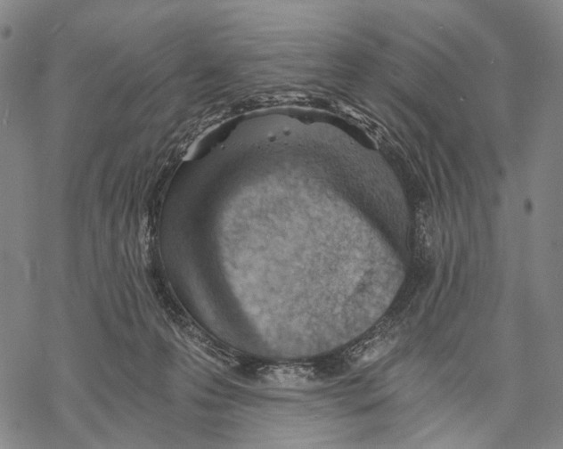 X0000068260223200605191811