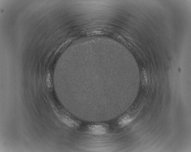 X0000068260224200605191811