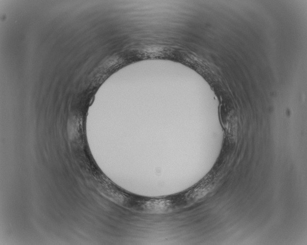 X0000068260225200605191811