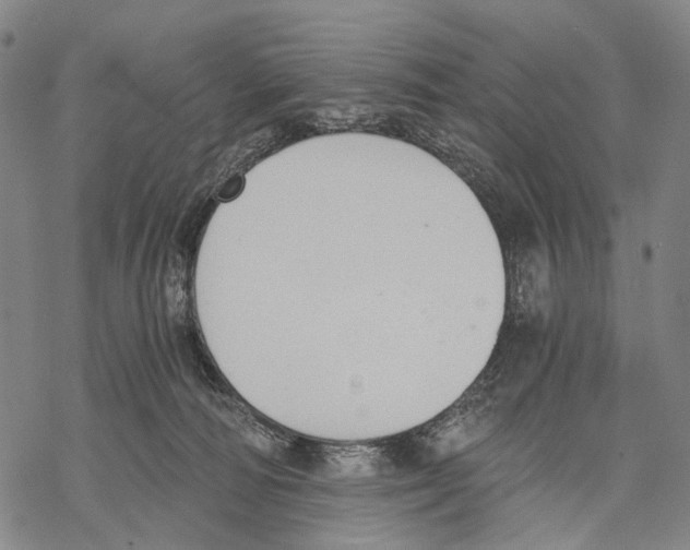 X0000068260226200605191811