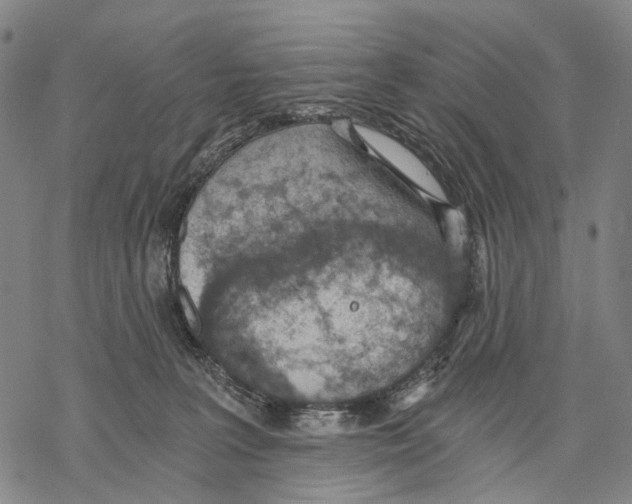 X0000068260227200605191811