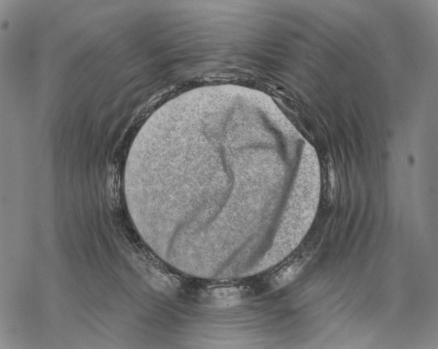 X0000068260228200605191811