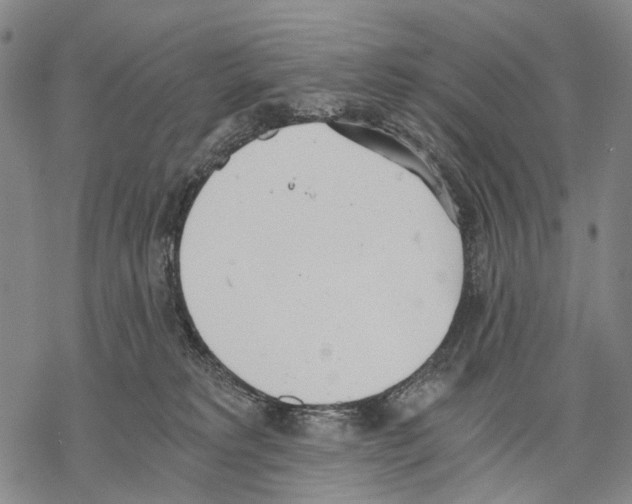 X0000068260229200605191811