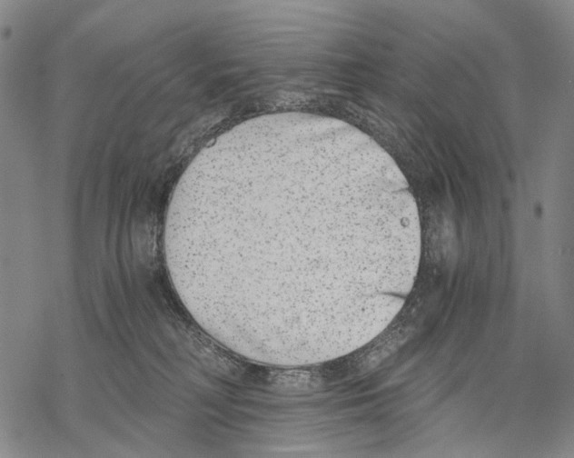 X0000068260230200605191811