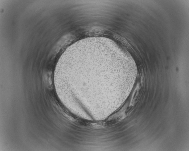 X0000068260232200605191811