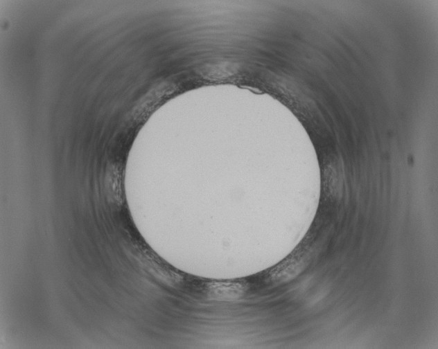 X0000068260234200605191811