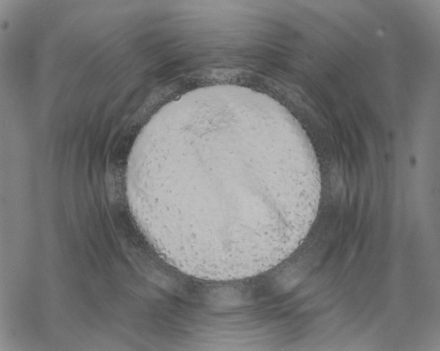 X0000068260236200605191811