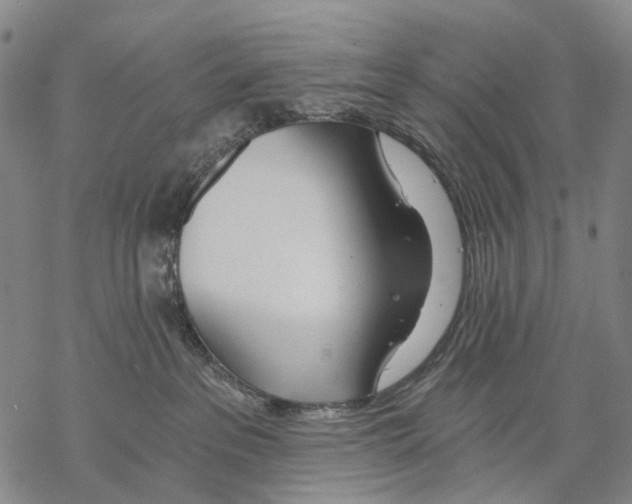 X0000068260237200605191811