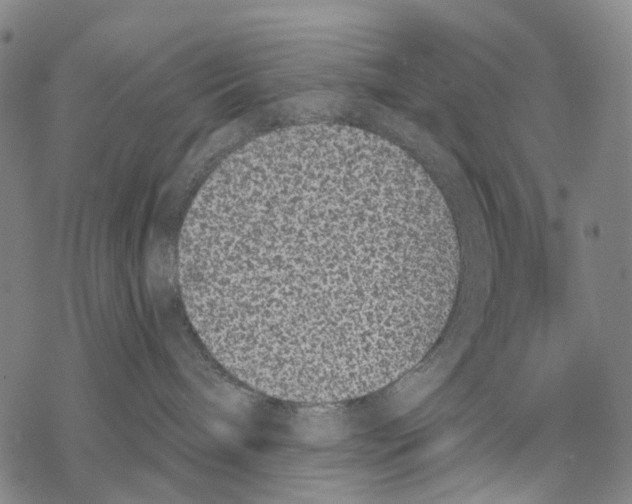 X0000068260240200605191811