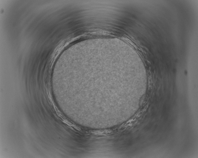 X0000068260241200605191810