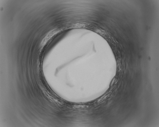 X0000068260242200605191810