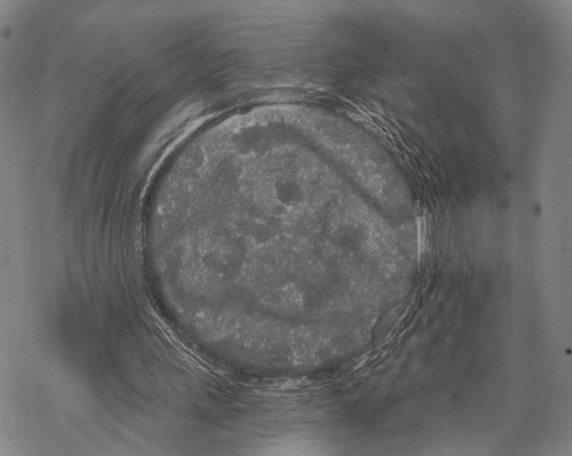 X0000068260243200605191810