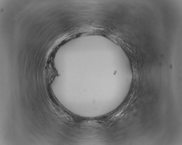 X0000068260244200605191810