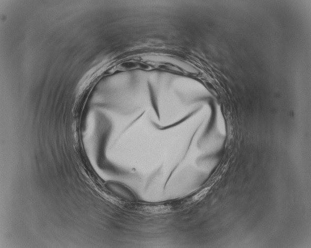 X0000068260245200605191810