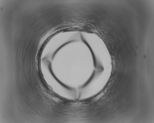 X0000068260246200605191810