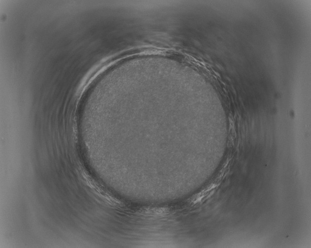 X0000068260247200605191810