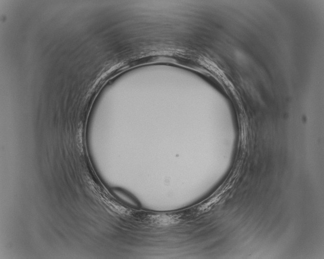 X0000068260249200605191810