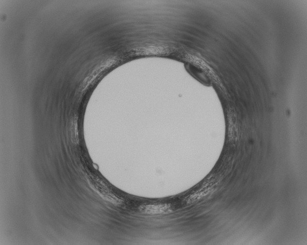 X0000068260251200605191810