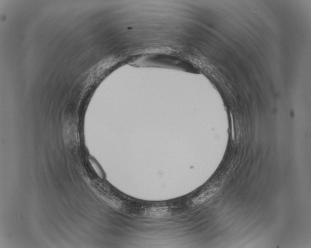 X0000068260252200605191810