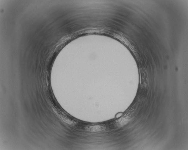 X0000068260253200605191810