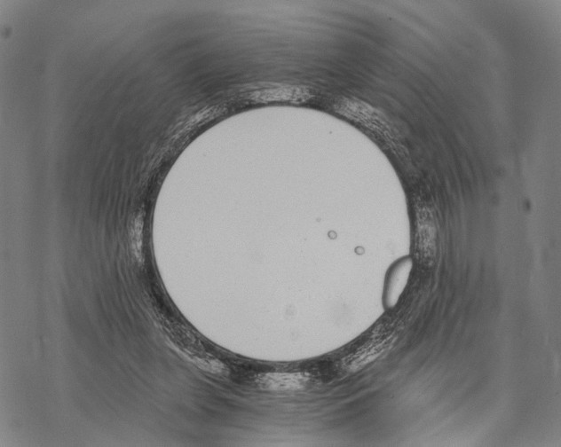 X0000068260255200605191810