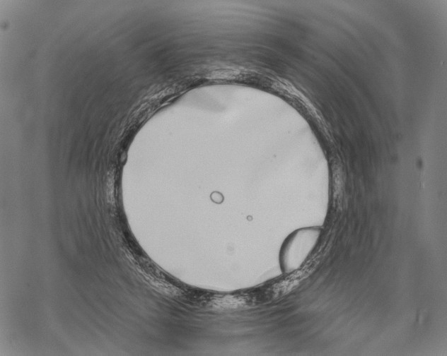 X0000068260257200605191810