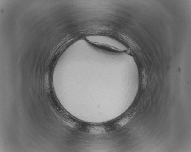 X0000068260258200605191810