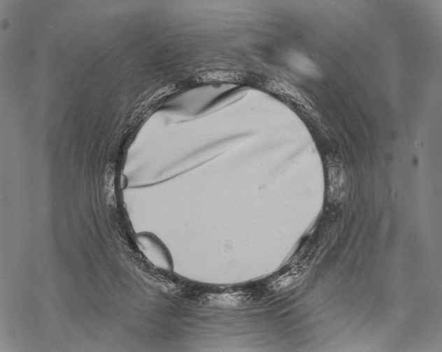 X0000068260259200605191810