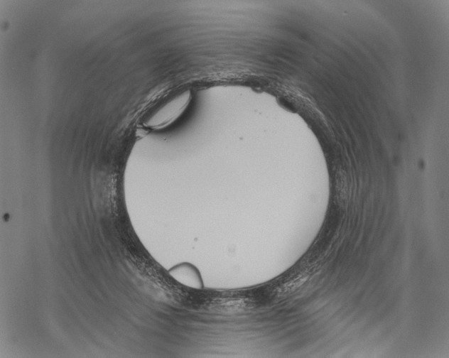 X0000068260260200605191810