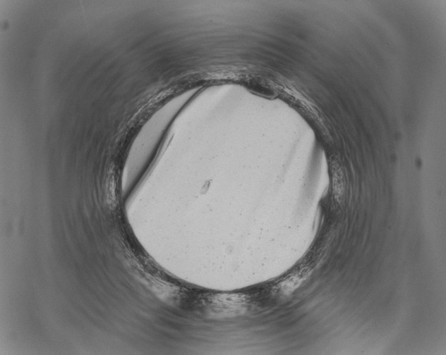 X0000068260261200605191810