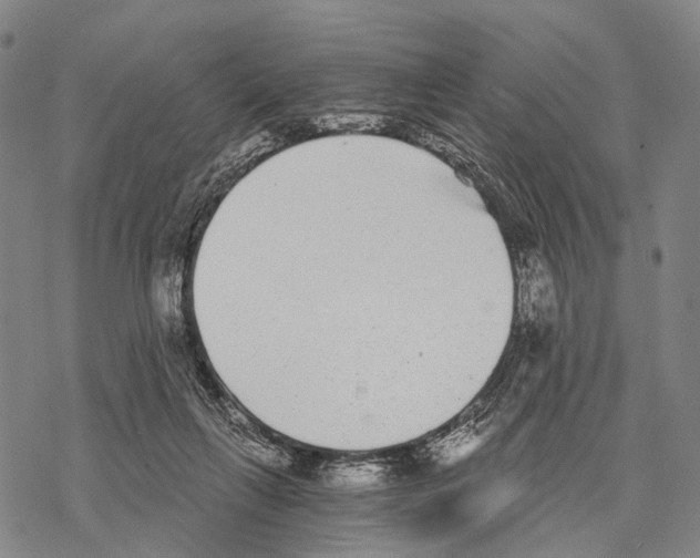 X0000068260263200605191810