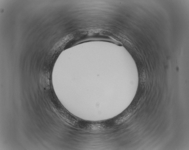 X0000068260264200605191810