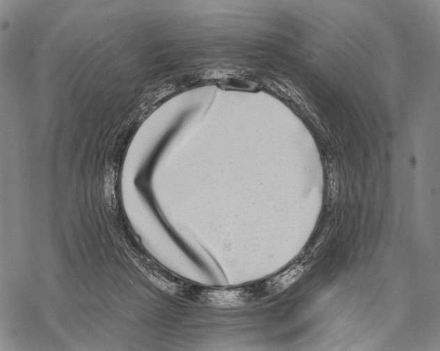 X0000068260265200605191810