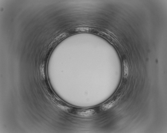 X0000068260267200605191810