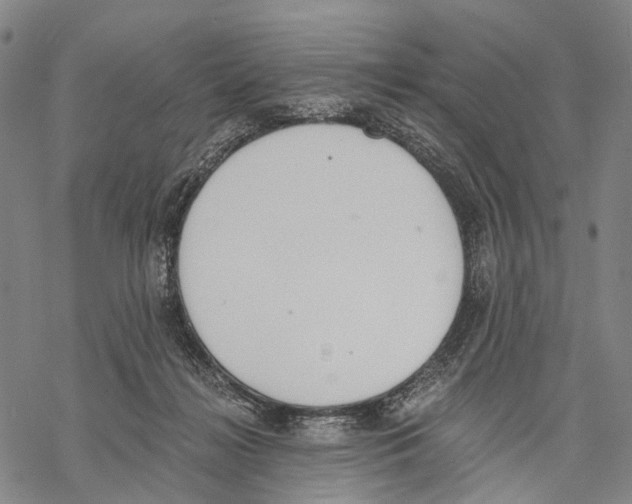 X0000068260268200605191810