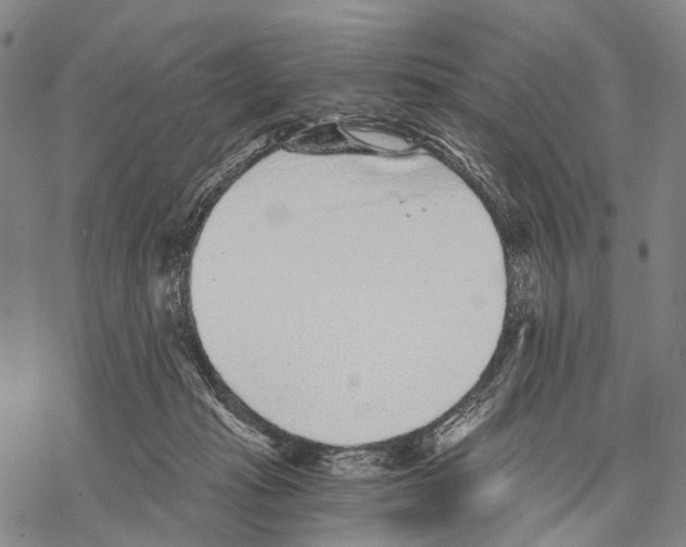 X0000068260269200605191810