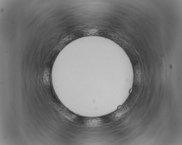 X0000068260274200605191810