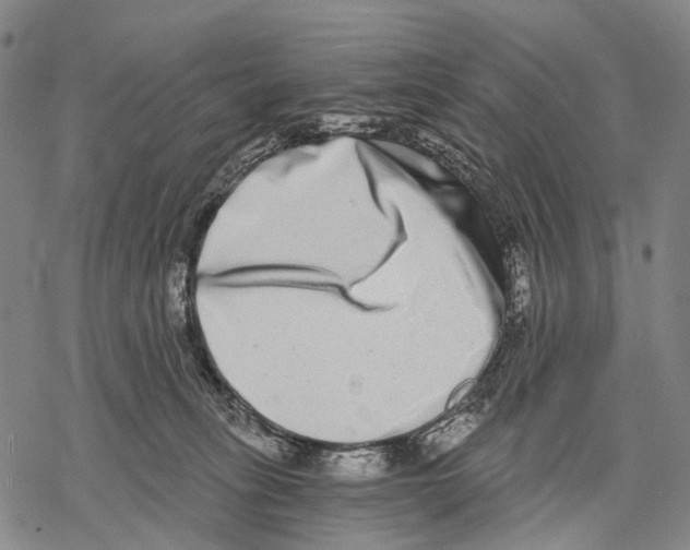 X0000068260275200605191810