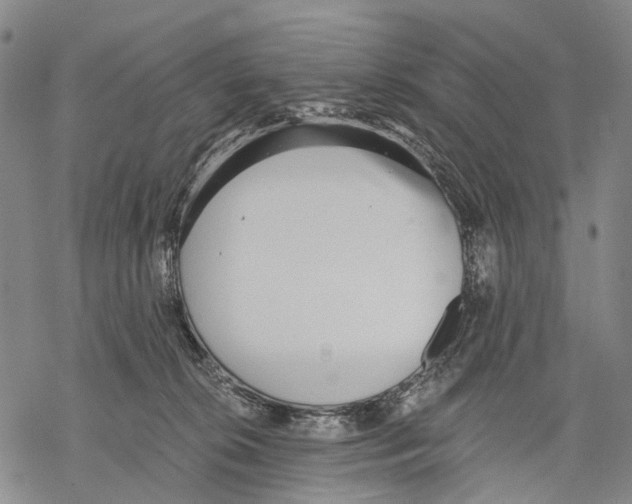 X0000068260276200605191810