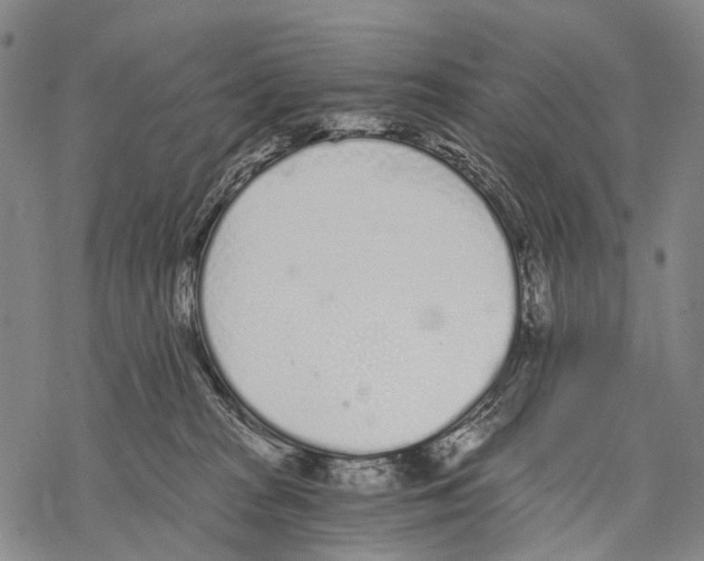 X0000068260277200605191810