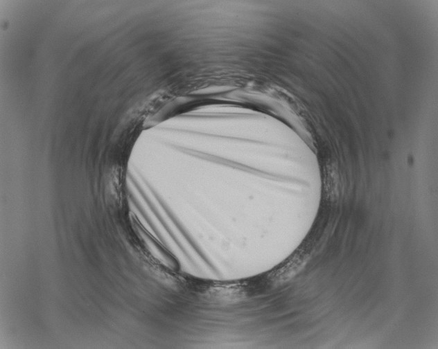 X0000068260280200605191810