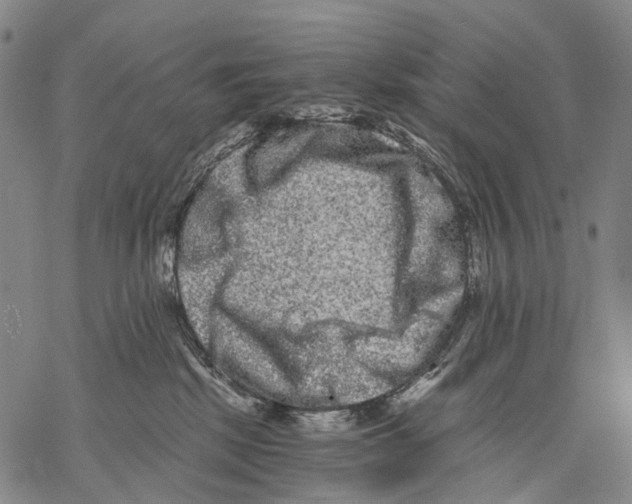 X0000068260281200605191810