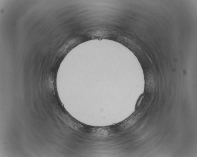 X0000068260282200605191810