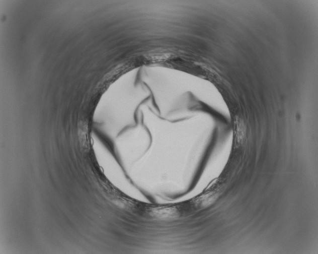 X0000068260283200605191810